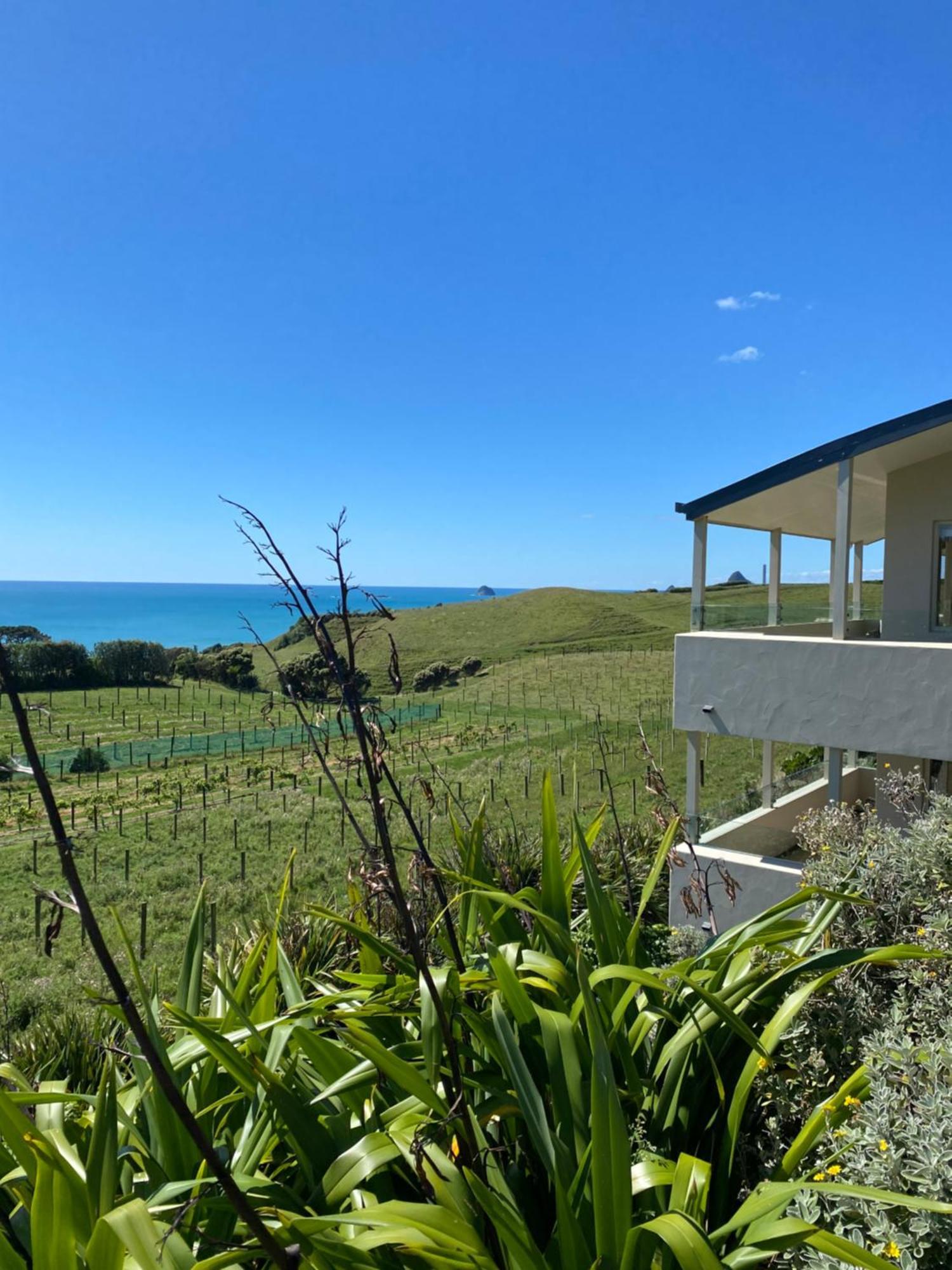 Chalets At Okurukuru New Plymouth Buitenkant foto