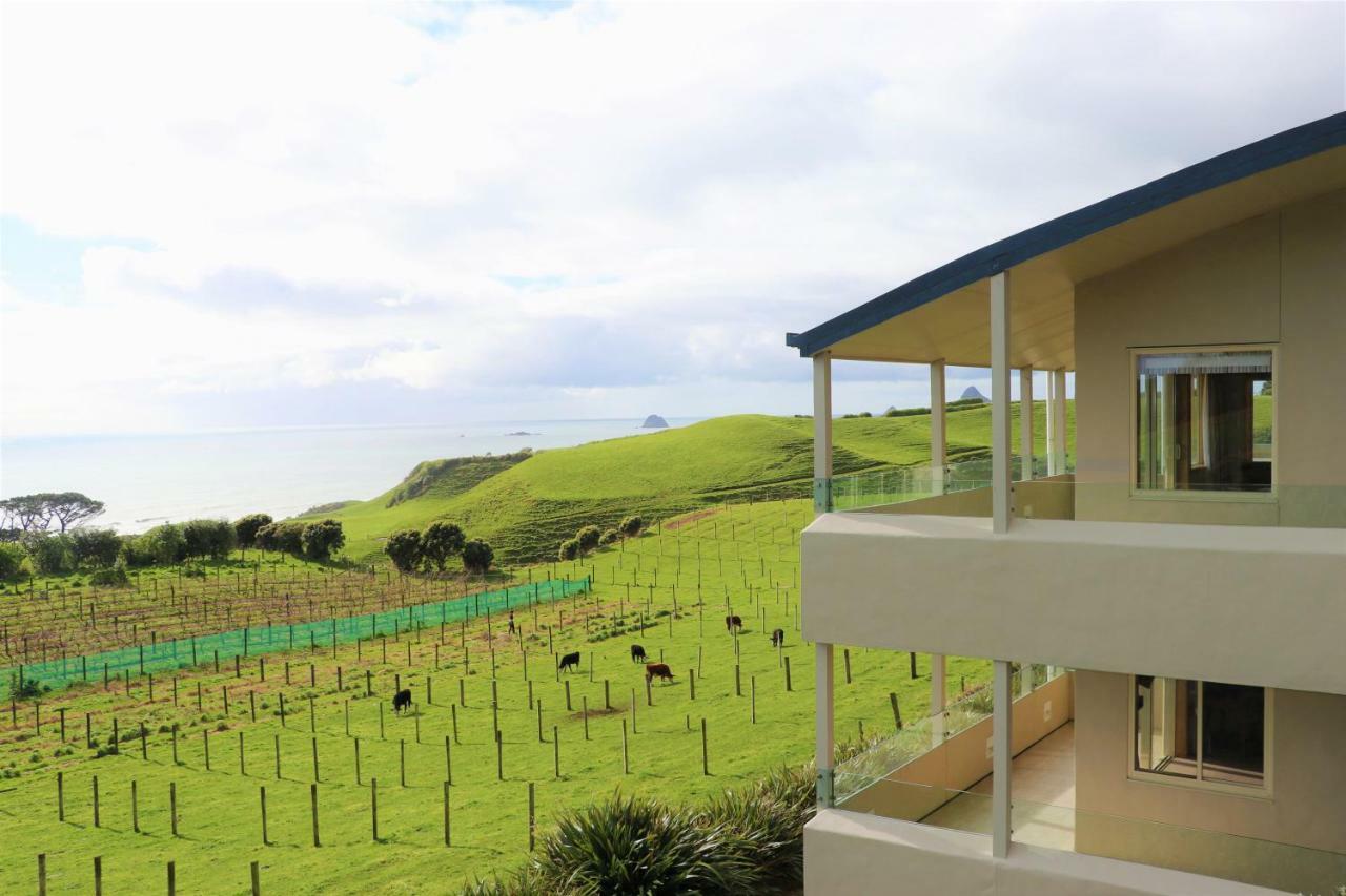 Chalets At Okurukuru New Plymouth Buitenkant foto