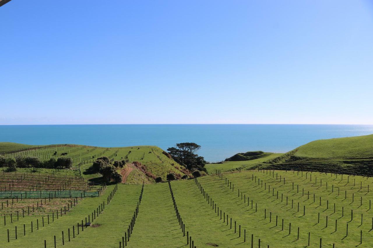 Chalets At Okurukuru New Plymouth Buitenkant foto