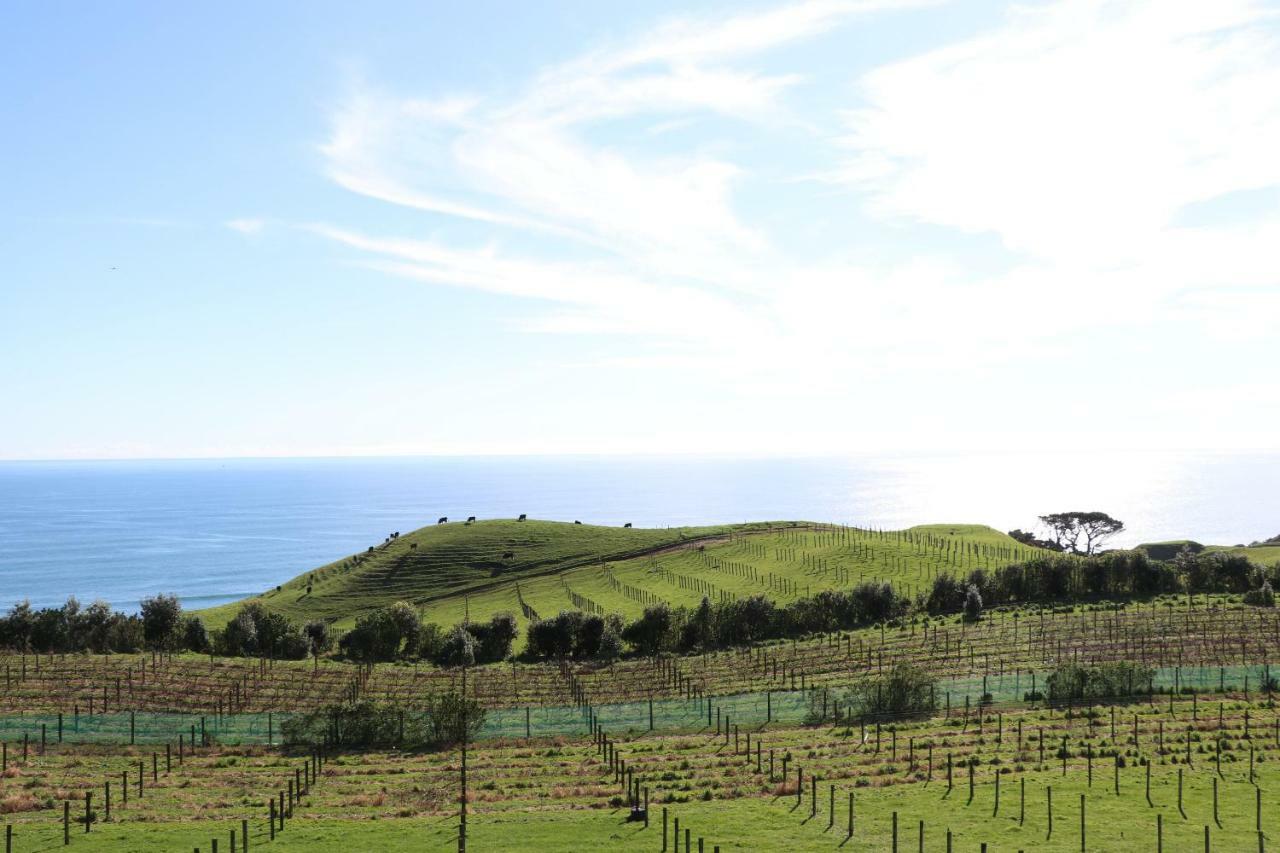 Chalets At Okurukuru New Plymouth Buitenkant foto